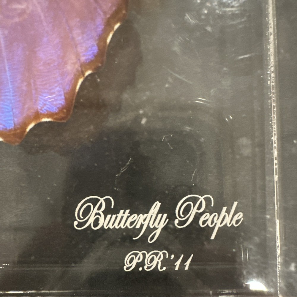 Blue Morpho Butterfly Real Framed 3D Display 8x7 Acrylic Shadow Box