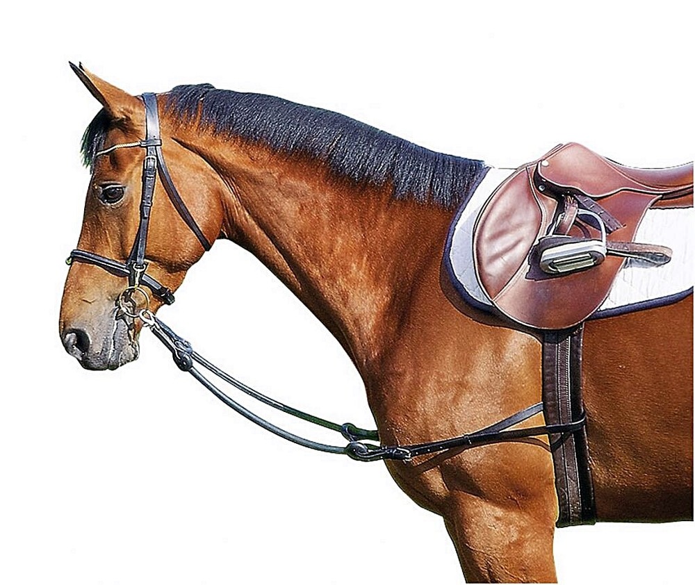 Training Leather Side Reins With Elastic Pull