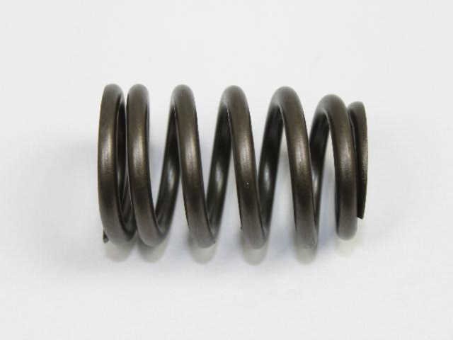 Engine Valve Spring Mopar 04781588AC
