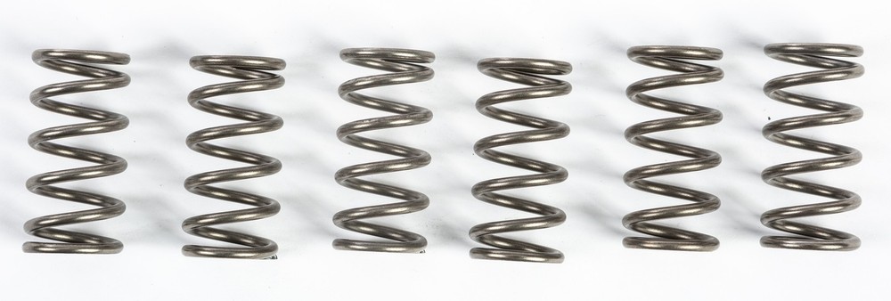 EBC CSK165 Clutch Spring Kit CSK Series Clutch Spring Set Replacement