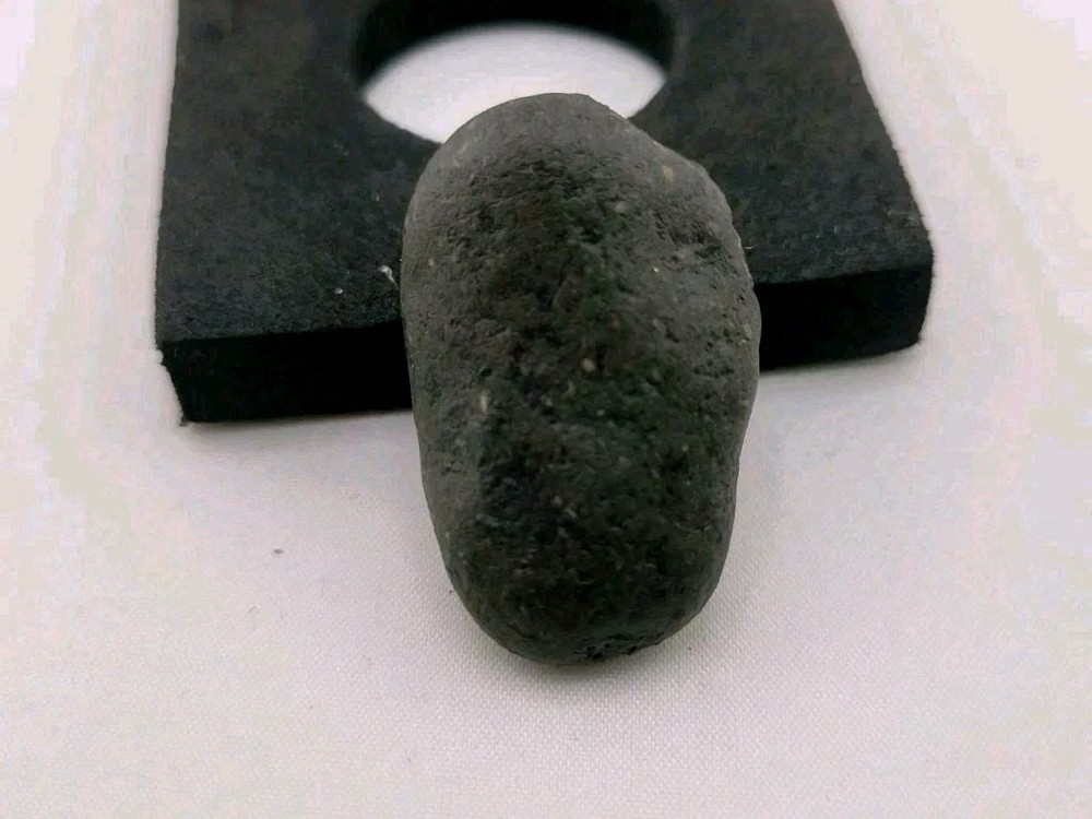 Real Permineralized Reptile Egg Fossil Lizard 🦎