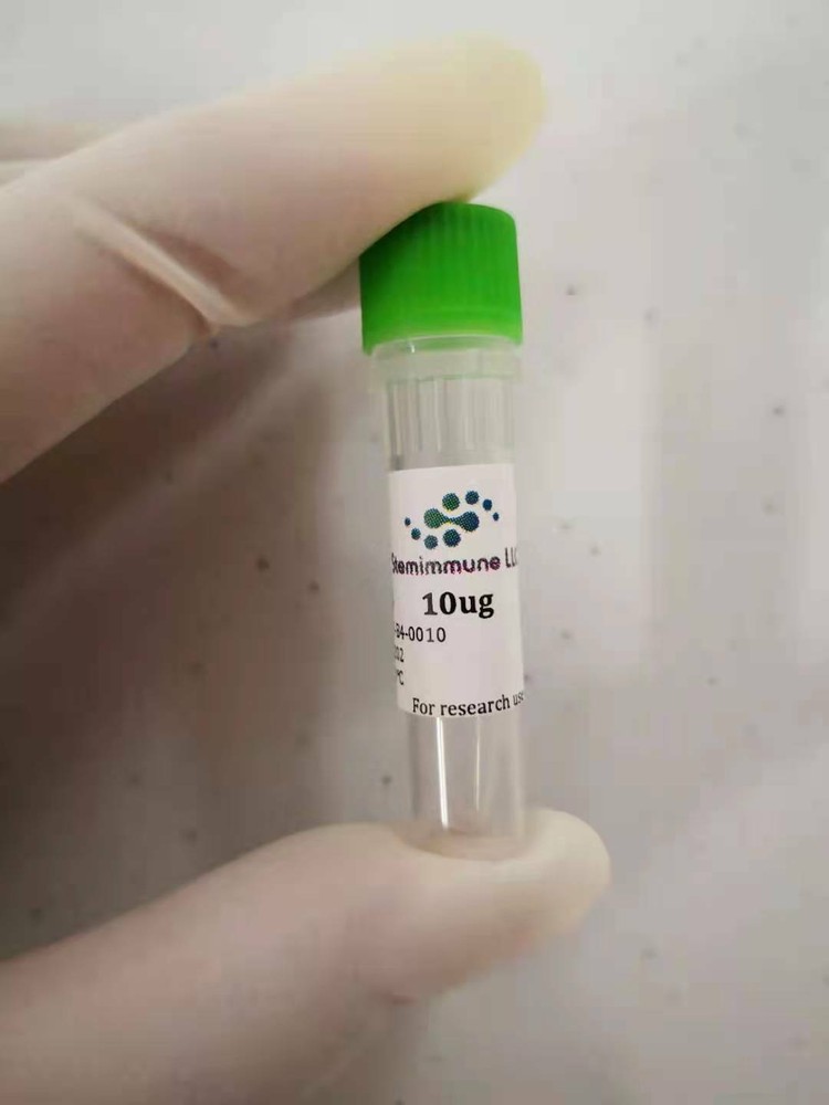 Recombinant Human DC cocktail for Dendritic Cells