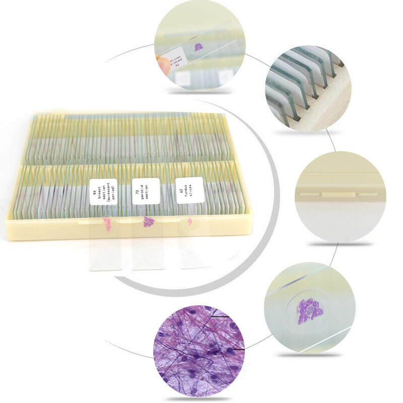 100PCS Mammal Tissue Sections Histology Prepared Specimen Microscope Slides
