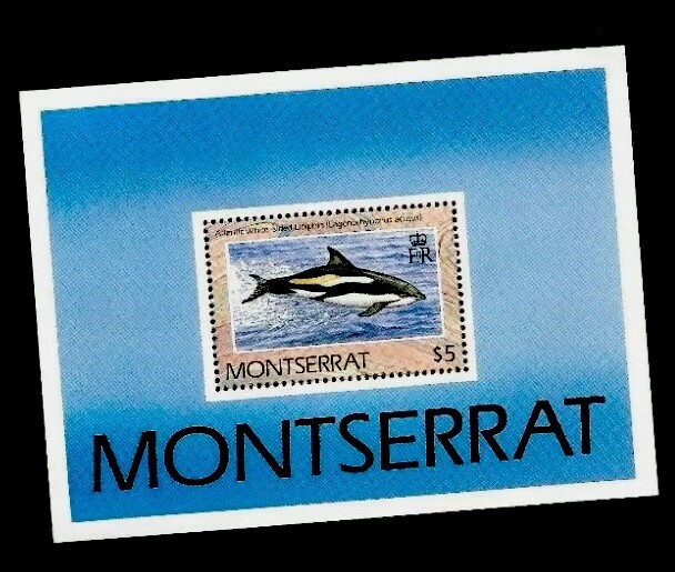 Montserrat Sc. #757 MNH, Atlantic White Sided Dolphin