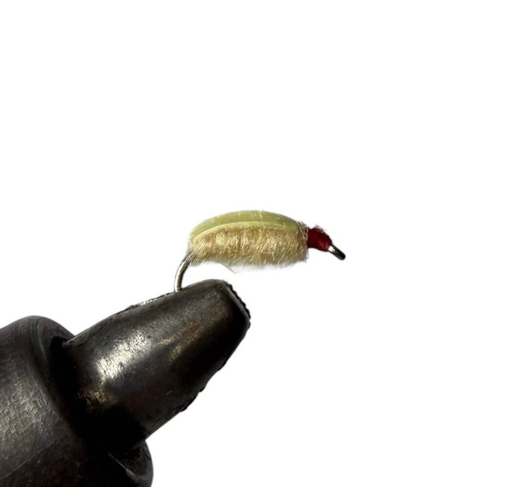 One Dozen (12) Poxyback Scud Tan- Strike Fly Company