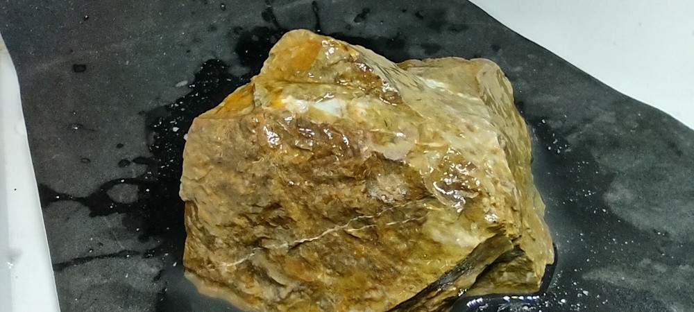 Lapidary Jasper Rough Specimen