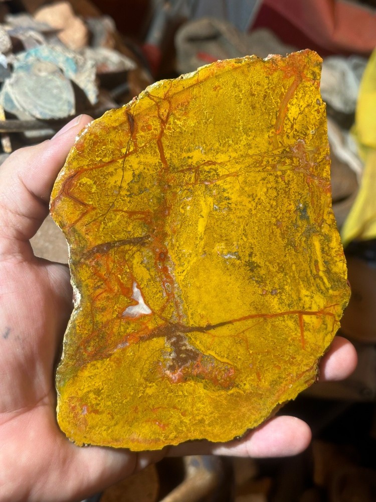 Beautiful Utah Yellowcat **hxtled agate.