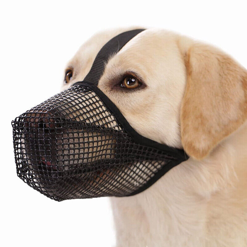 Dog Muzzle Pet Muzzle for Anti-Biting Chewing Licking Adjustable Breathable US