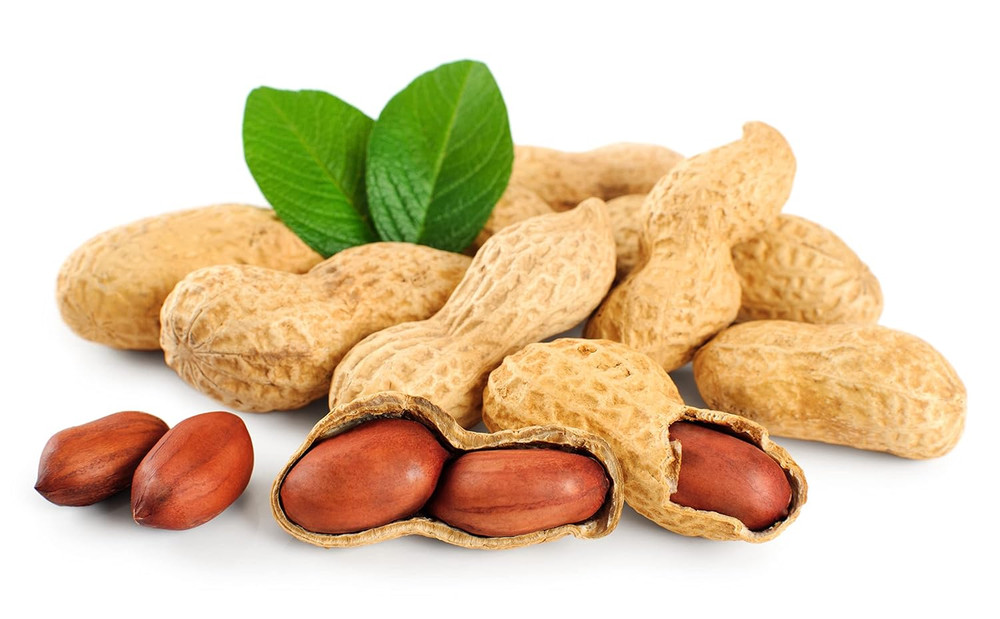 Raw Peanuts, 2 Pound Bag Raw Peanuts in Shell, Great for Boiling, Squirrels F...