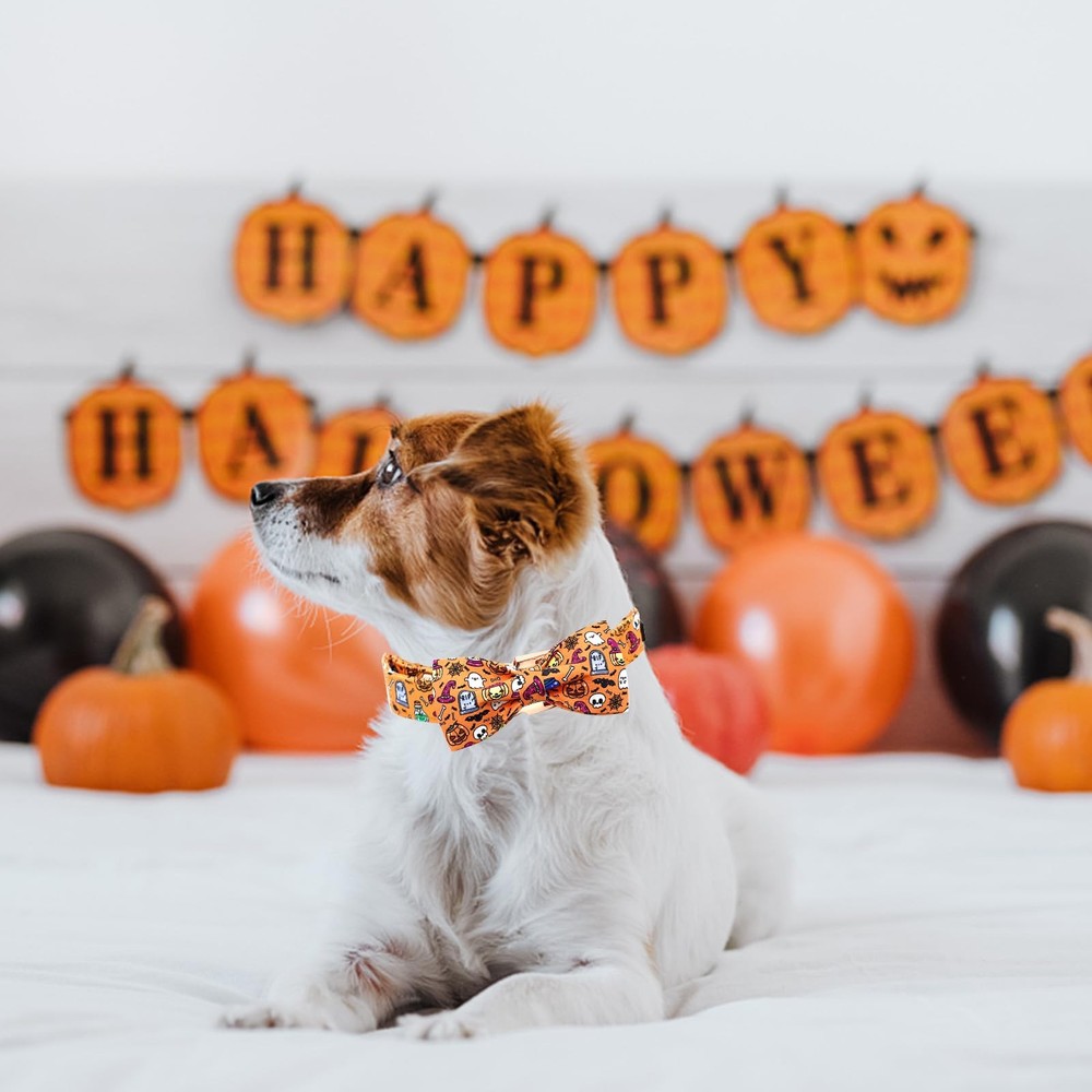 Fall Dog Collar, Pumpkin Holiday, Halloween Bow, Durable, Adjustable, Small