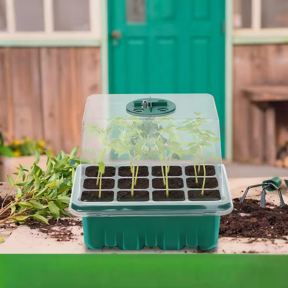 2-Pack Seed Starter Tray with Light, Grow Light for Seed Starter Kit with Humidi