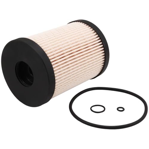 FF5956 Fuel Filter Replaces PU9015Z 7421746573 21746575 21746573 22892652