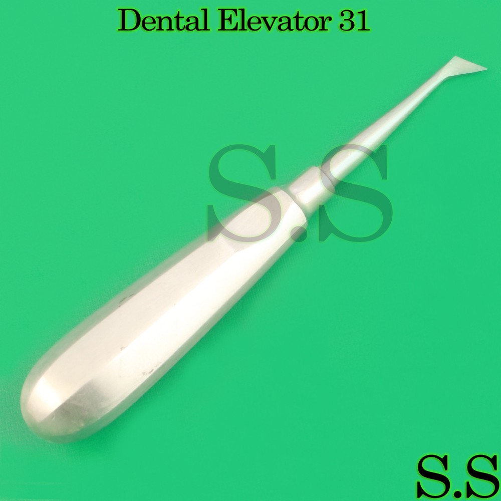 10 New Dental Root Cryer Elevator # 31 Dental Instruments