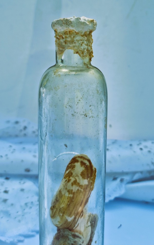 Vintage Unique Glass Bottle With Shells