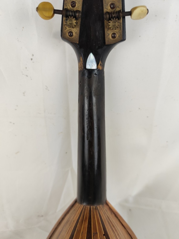 Mandolin 4/4 Ernesto De Cicco 1901 Naples 曼陀林 만돌린マンドリン