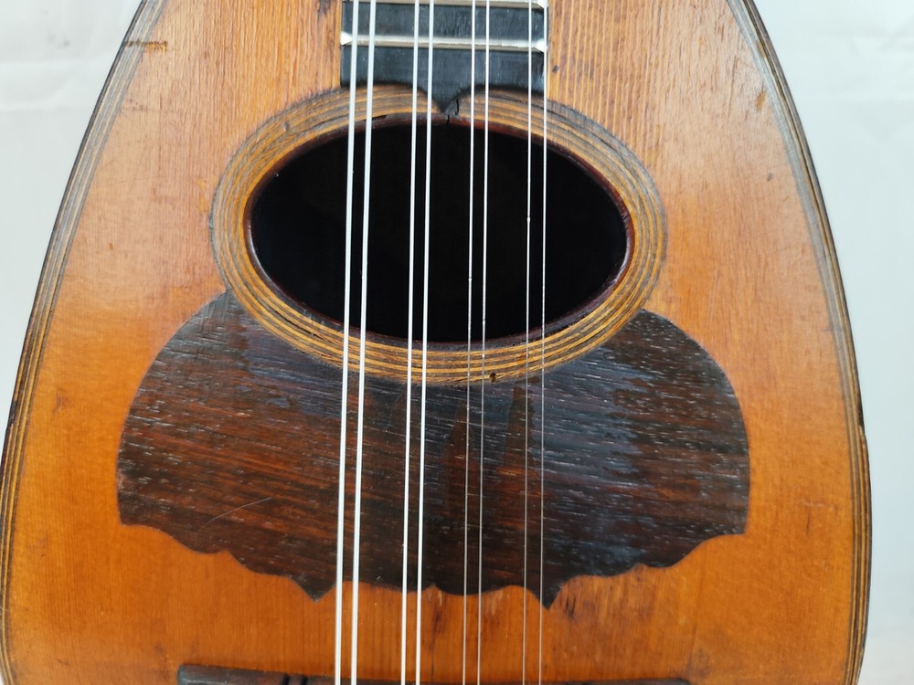 Mandolin 4/4 Luigi Ricci e Son 1885 Naples 曼陀林 만돌린マンドリン