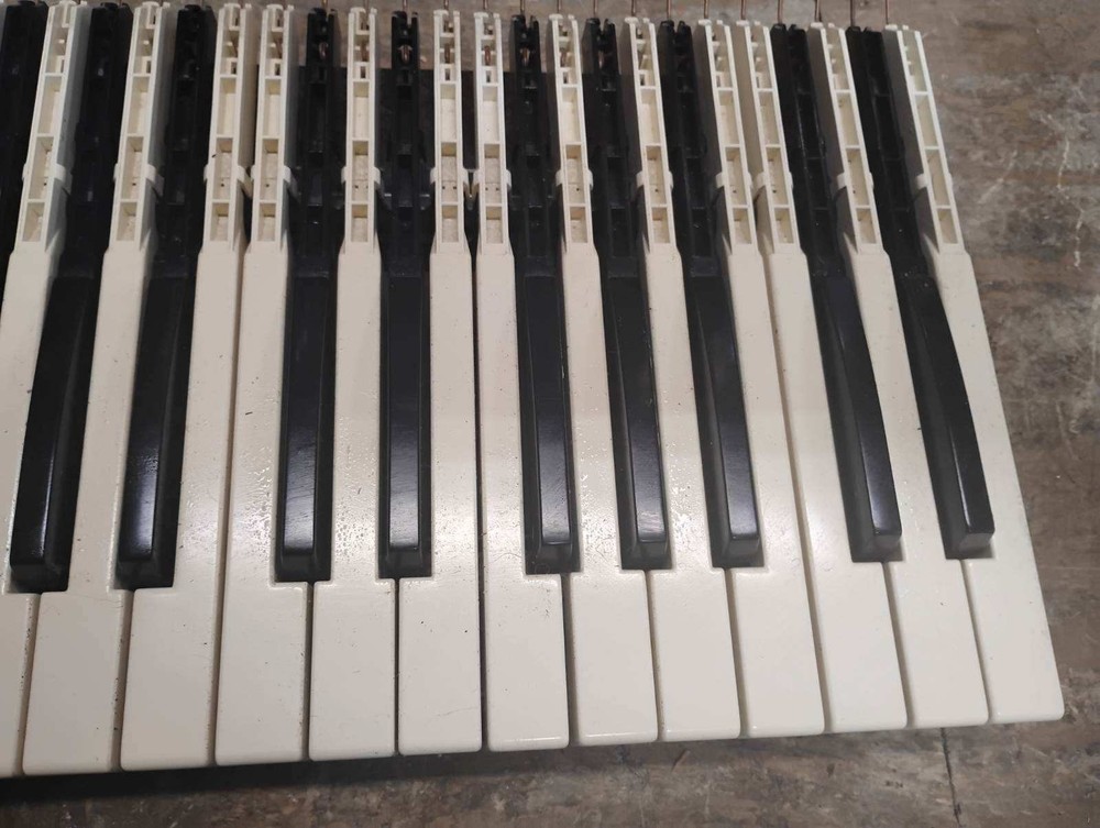 Vintage Organ Keys 44 Note 3.5 Octave Set! MAKE OFFER!