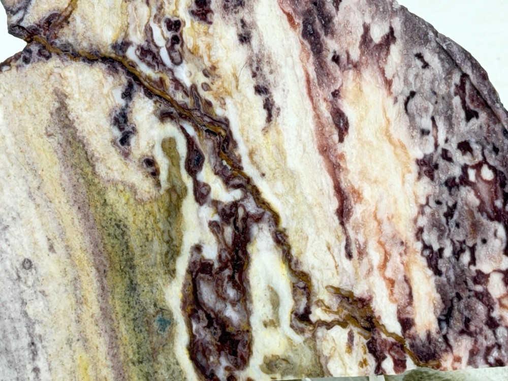 Windy Mountain Jasper Slab Set, Lot#115