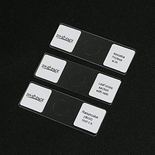 Prepared Microscope Slides Set for Biology - 16 Specimens for Science Education