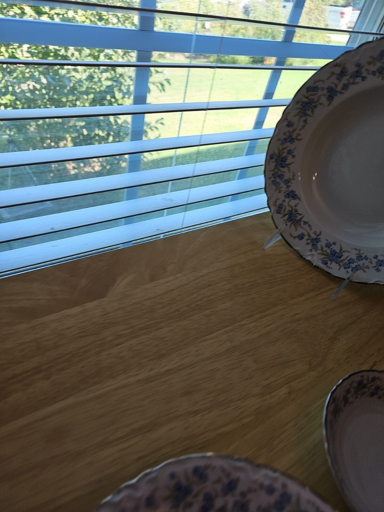 7 Pc Place Setting Mille Fleurs. by Hutschenreuther