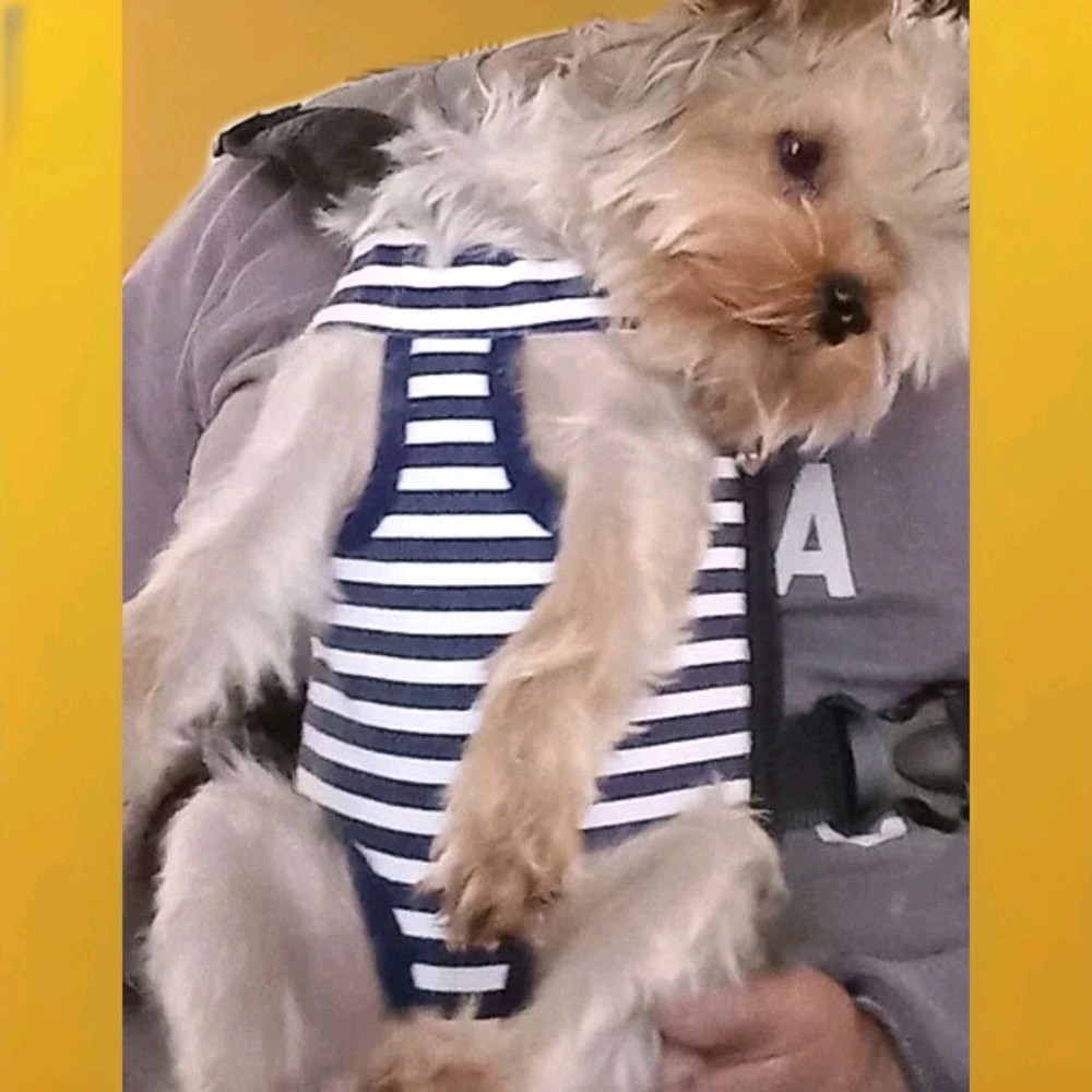 Dogcarrier