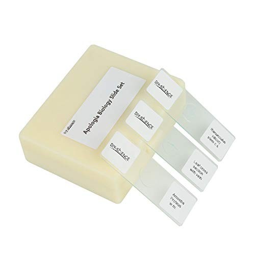 Prepared Microscope Slides Set for Biology - 16 Specimens for Science Education