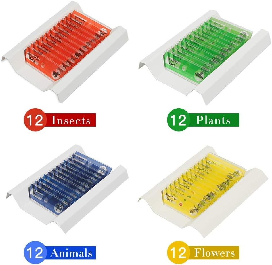 Clear Observation with 48 Biological Microscope Slides - Kid-Friendly Science
