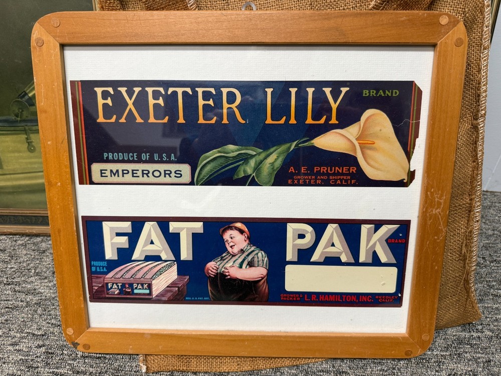 FAT PAK Vintage Grape & Exeter Lily Labels framed 1930s