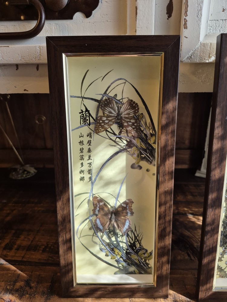 3 Real Framed Butterflies