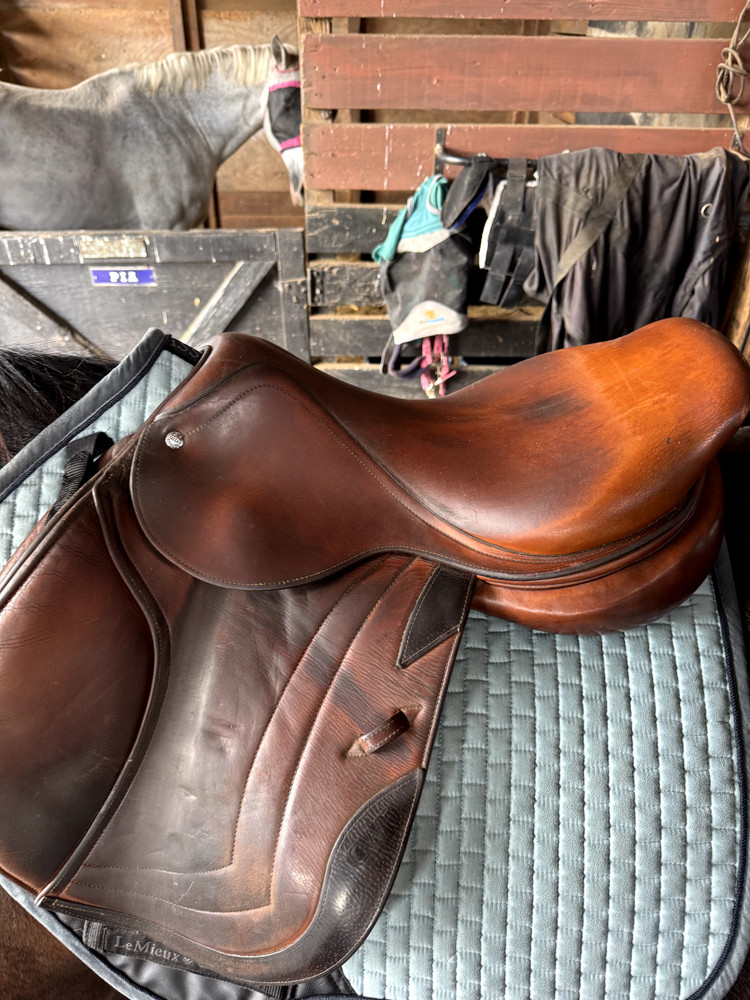 CWD Hunter Jumper Saddle 17.5 SE02