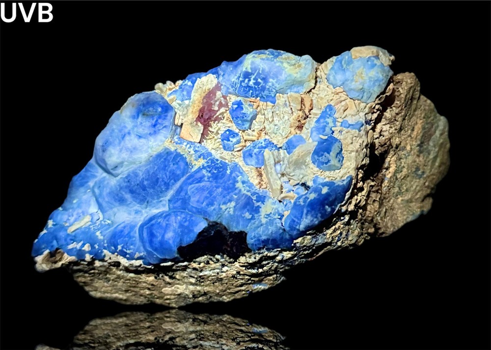 695 Gr. Fluorescent Phosphorescent Blue Hackmanite Crystals Cluster, Forsterite