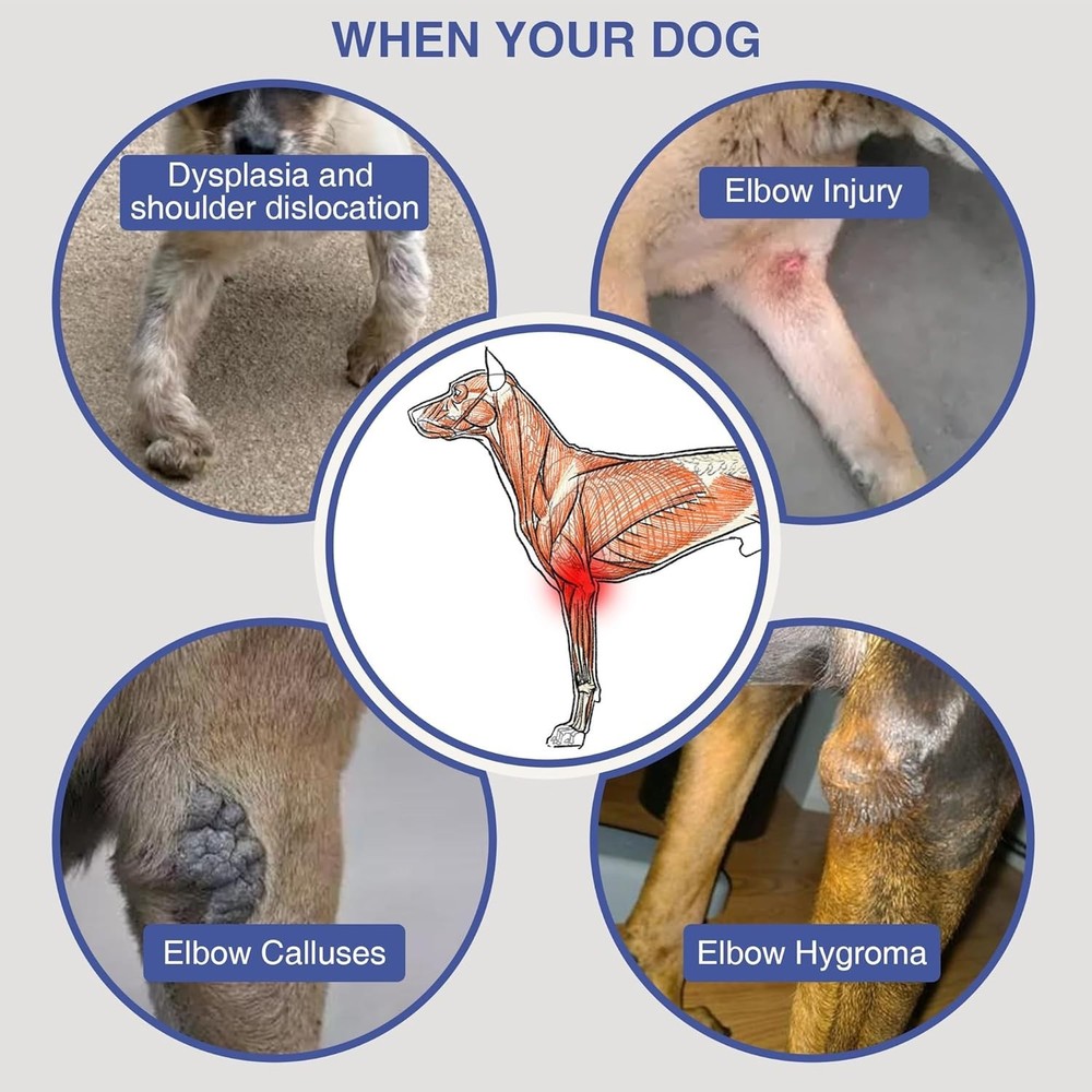 Dog Elbow Brace & Protector, Front Leg Support Sleeve for Arthritis (XL)