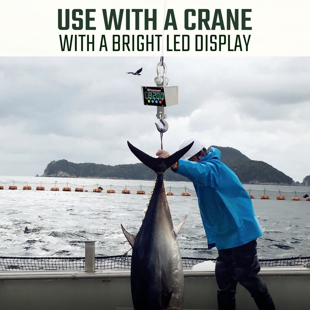 Stainless Steel 6,000 lb Crane Scale LED Android App & Certificate