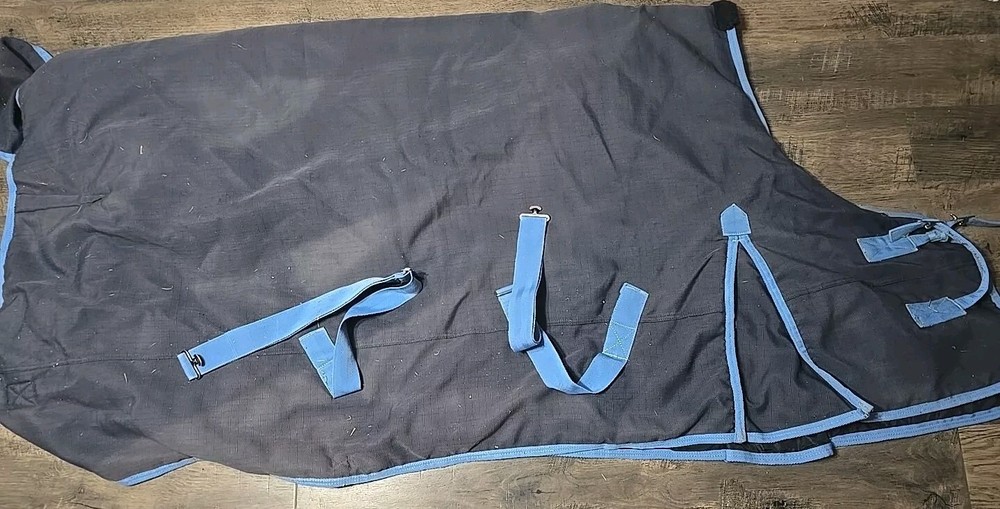 Horse Blanket