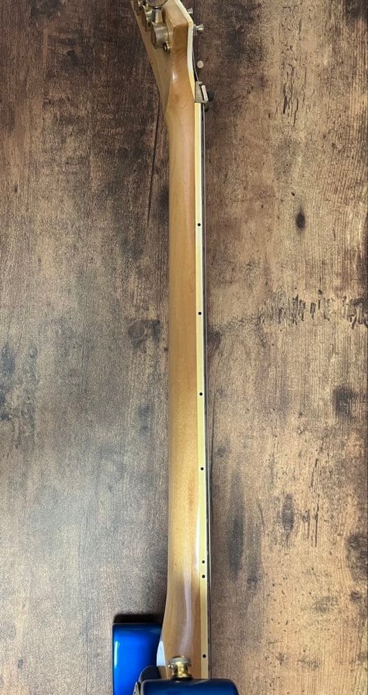 ESP Guitar Gig Bag Strap Safe Packing!