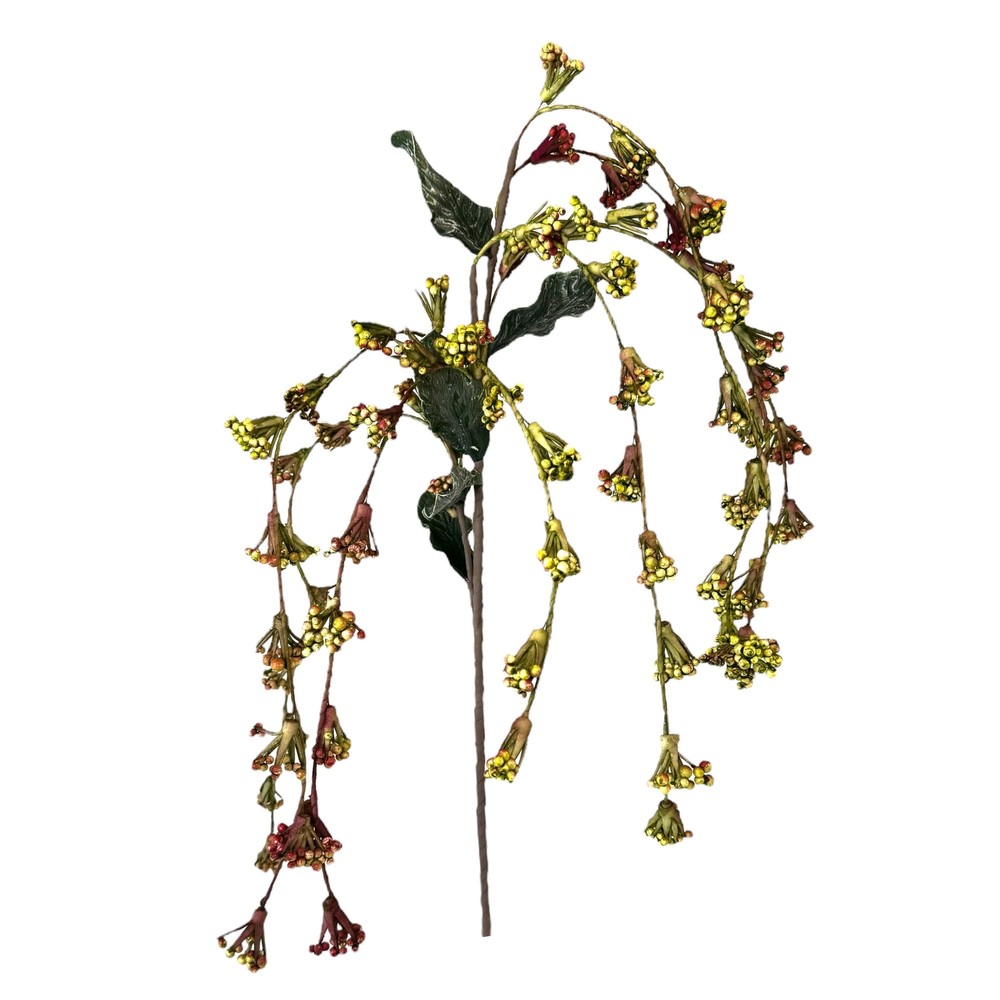 Trailing Green & Crimson Berry Stem