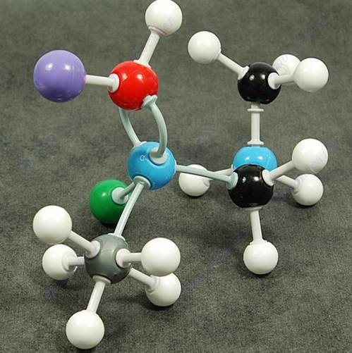 184pc Molecular Model Set Organic Chemistry Science Atom Molecules & Links Kit