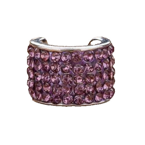 CharMED Stackable Personalize Stethoscope Bling Charm | Violet Purple
