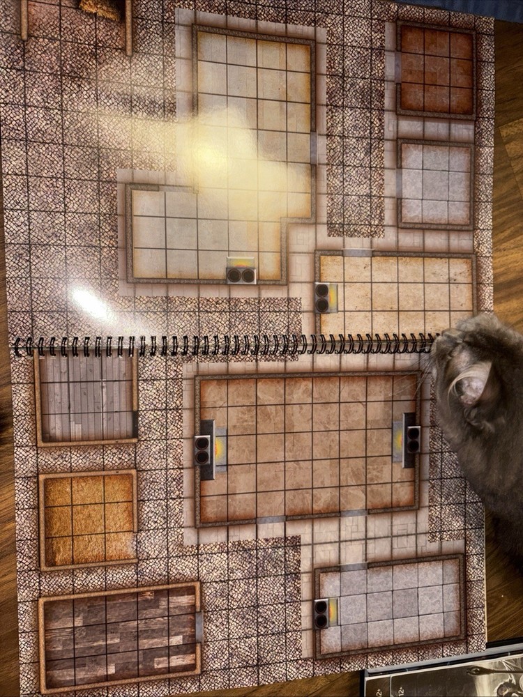 D&D Everything You Need To Get Started Playing