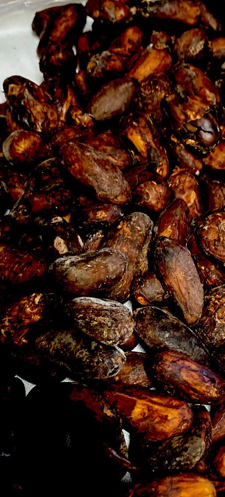 Cocoa Whole Beans Hawaii Grown 100% Organic