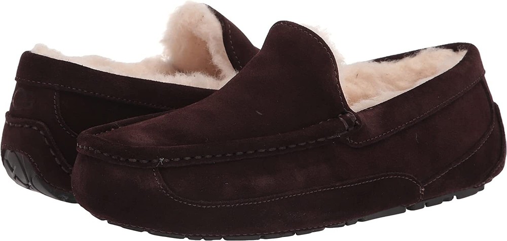 UGG MEN ASCOT MEDIUM Shoes Espresso New