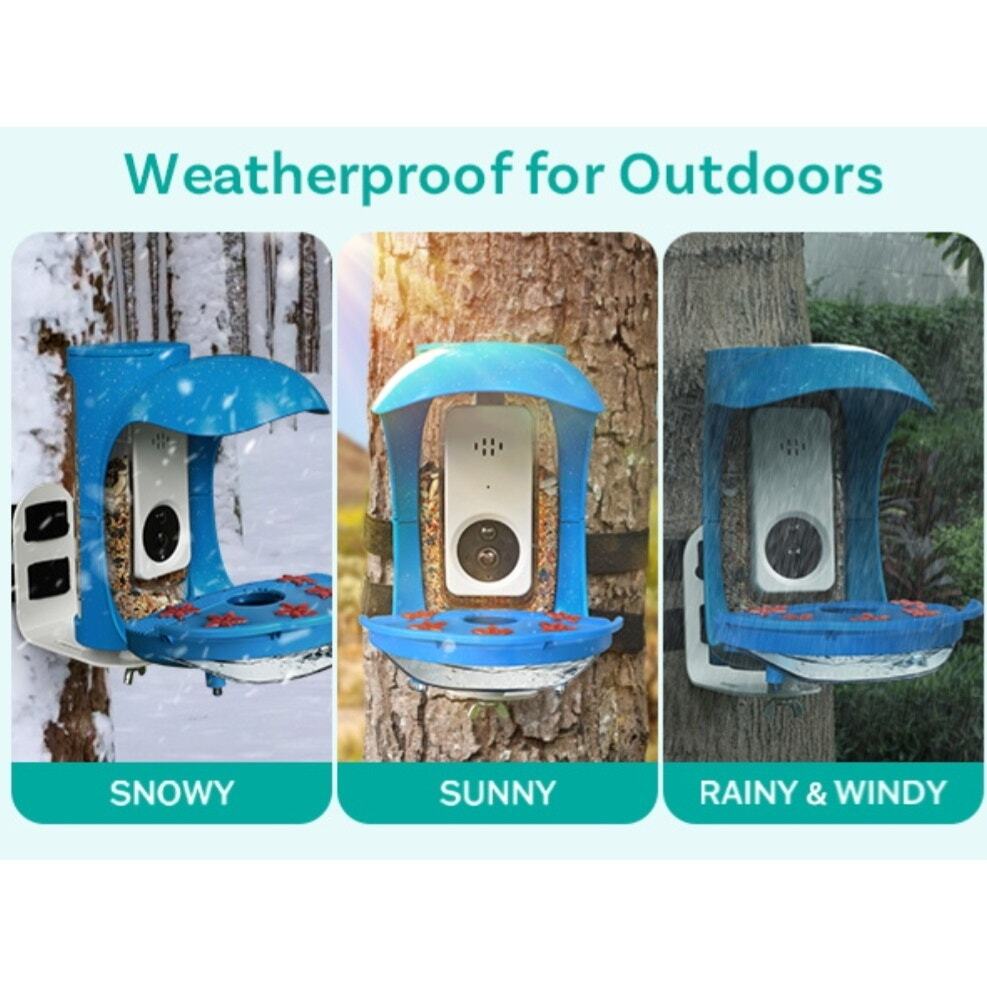 BirdDock Smart Solar Powered Bird Feeder with Camera (Reg.$210)