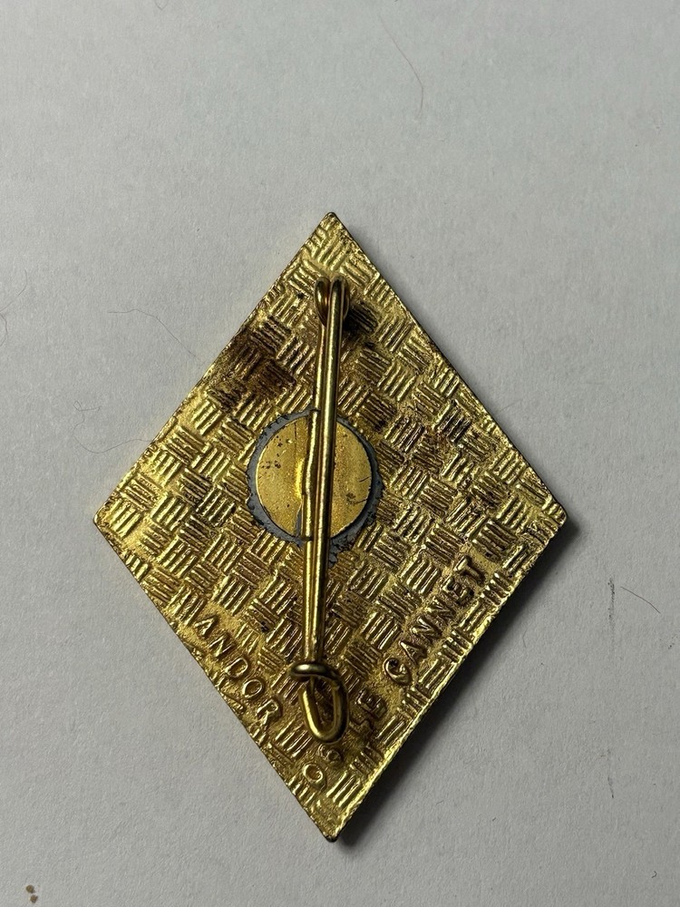 French Foreign Legion 1st Regiment Badge Pin