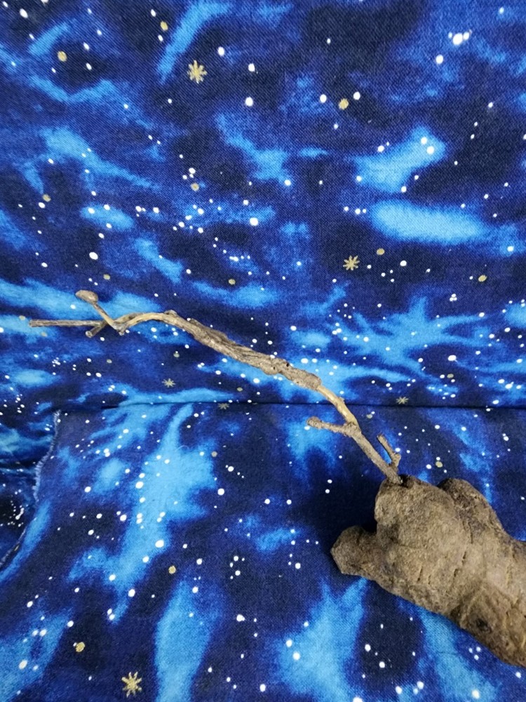 Once Upon a Time Prop Night Root