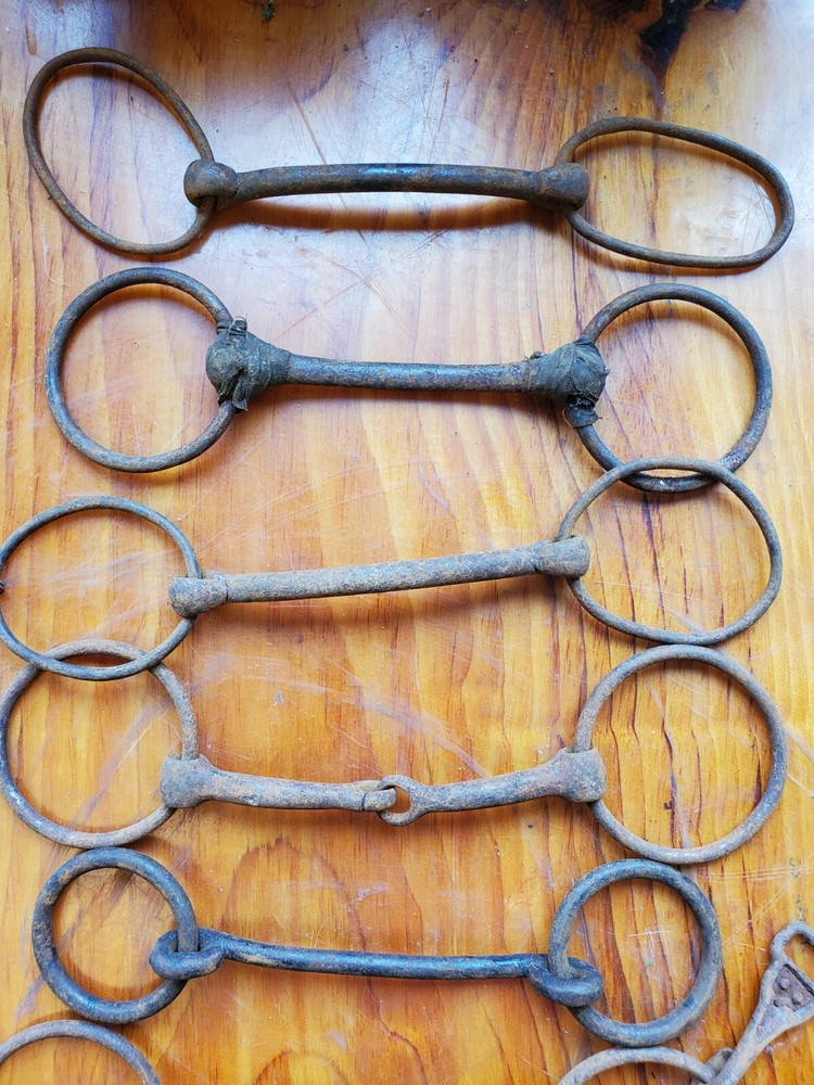 Vintage Horse Bits
