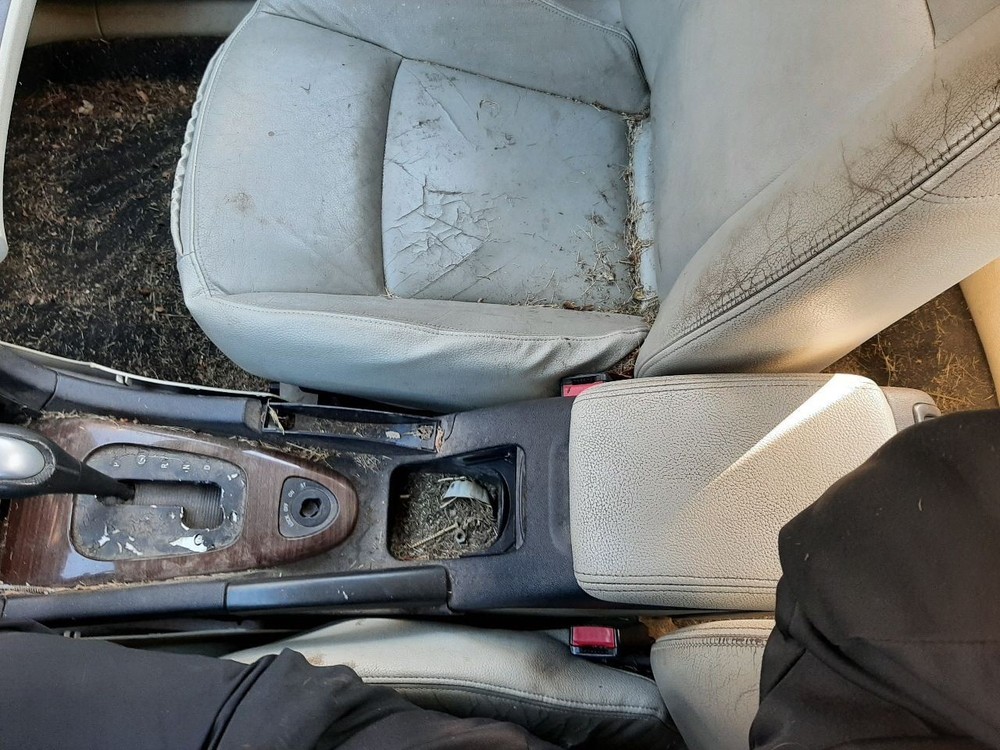 9-3 2004 High Mounted Stop Light 1068772