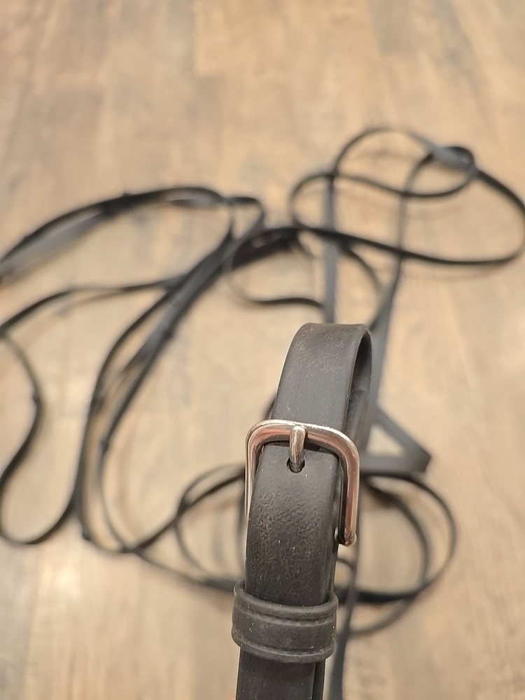 driving reins