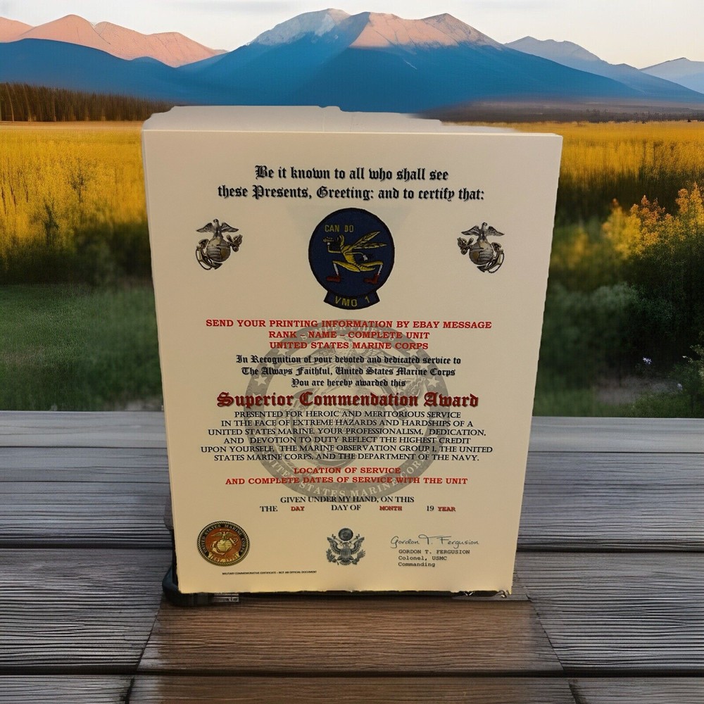 U.S.M.C. / MARINE OBSERVATION GROUP 1 - SUPERIOR COMMENDATION AWARD