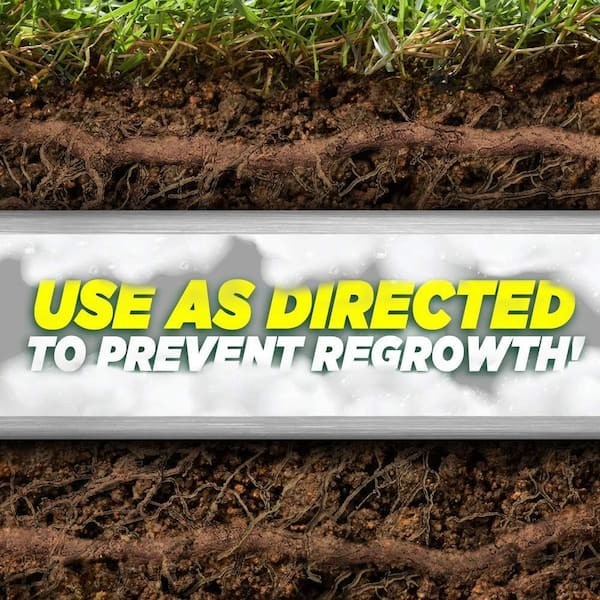 10Lb Foaming Root Killer Prevent Clogs in Sewer Pipes Dehydrates Dissolve Roots