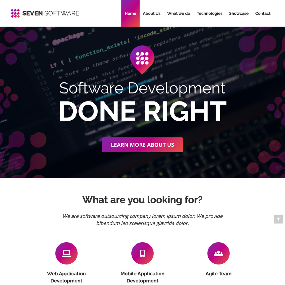 Software Company Website Design with Free VPS Web Hosting and Installation